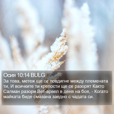 Осия 10:14 BULG Bible Verse Image