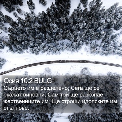 Осия 10:2 BULG Bible Verse Image