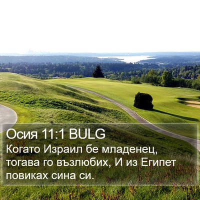 Осия 11:1 BULG Bible Verse Image