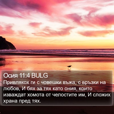 Осия 11:4 BULG Bible Verse Image