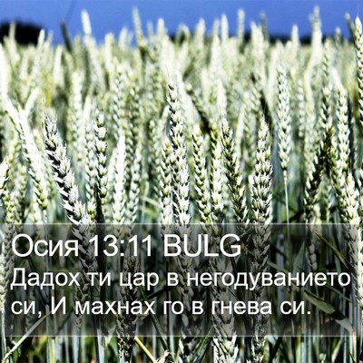 Осия 13:11 BULG Bible Verse Image