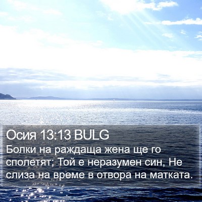Осия 13:13 BULG Bible Verse Image