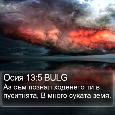 Осия 13:5 BULG Bible Verse Image