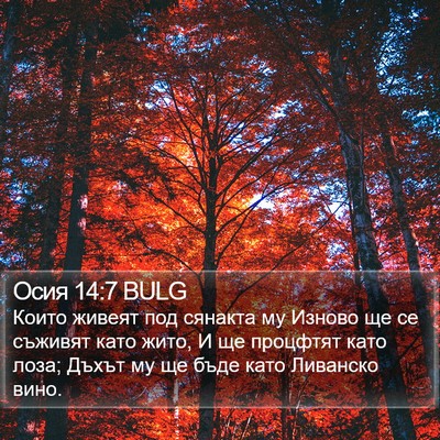 Осия 14:7 BULG Bible Verse Image