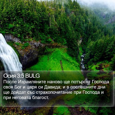 Осия 3:5 BULG Bible Verse Image