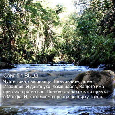 Осия 5:1 BULG Bible Verse Image