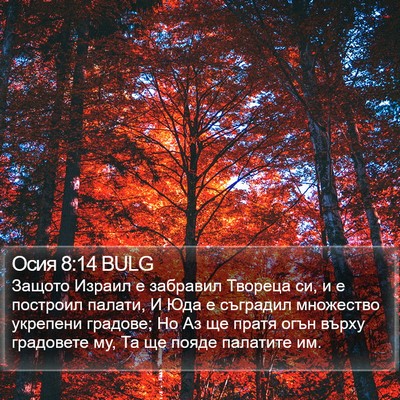 Осия 8:14 BULG Bible Verse Image