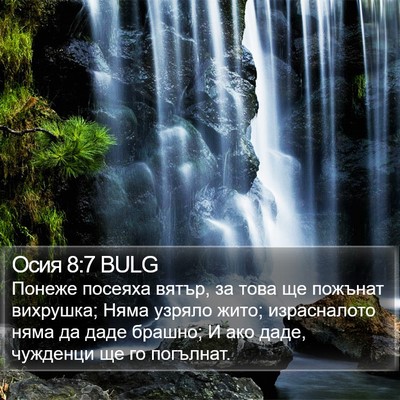 Осия 8:7 BULG Bible Verse Image