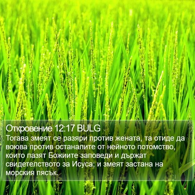 Откровение 12:17 BULG Bible Verse Image