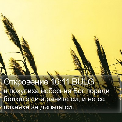 Откровение 16:11 BULG Bible Verse Image