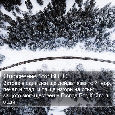 Откровение 18:8 BULG Bible Verse Image