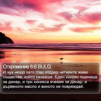 Откровение 6:6 BULG Bible Verse Image
