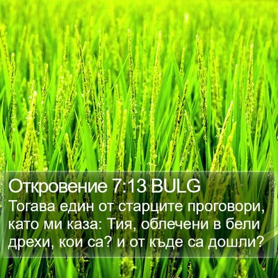 Откровение 7:13 BULG Bible Verse Image