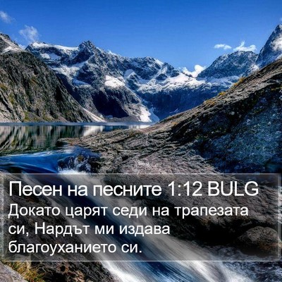 Песен на песните 1:12 BULG Bible Verse Image