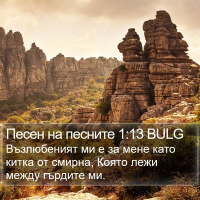 Песен на песните 1:13 BULG Bible Verse Image