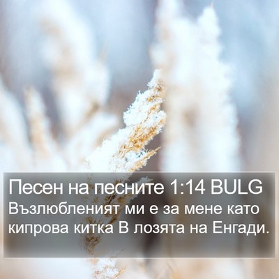 Песен на песните 1:14 BULG Bible Verse Image