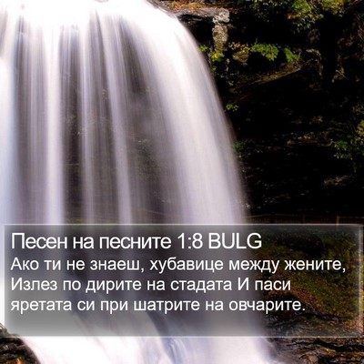 Песен на песните 1:8 BULG Bible Verse Image