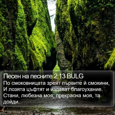 Песен на песните 2:13 BULG Bible Verse Image