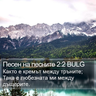 Песен на песните 2:2 BULG Bible Verse Image