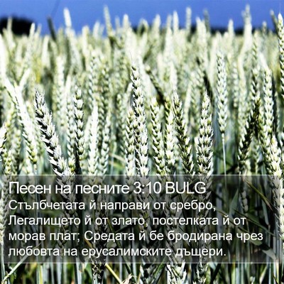 Песен на песните 3:10 BULG Bible Verse Image