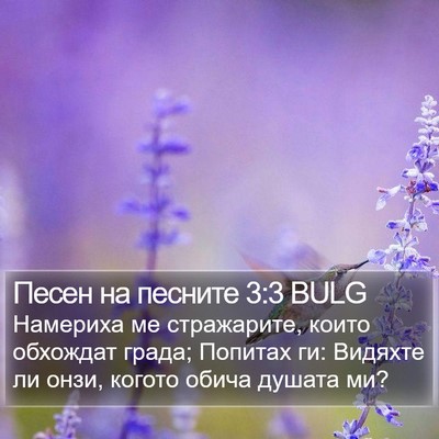 Песен на песните 3:3 BULG Bible Verse Image