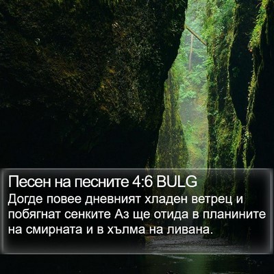 Песен на песните 4:6 BULG Bible Verse Image