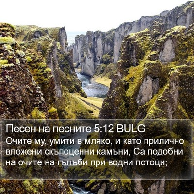 Песен на песните 5:12 BULG Bible Verse Image