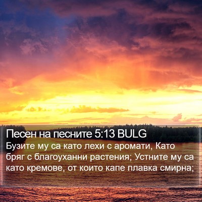 Песен на песните 5:13 BULG Bible Verse Image