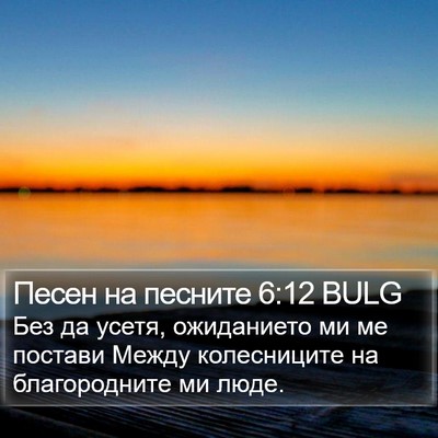 Песен на песните 6:12 BULG Bible Verse Image
