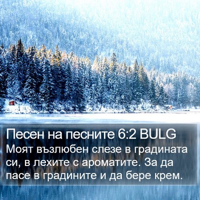 Песен на песните 6:2 BULG Bible Verse Image