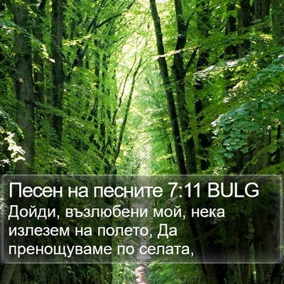 Песен на песните 7:11 BULG Bible Verse Image