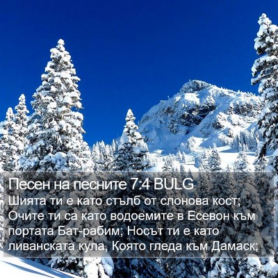 Песен на песните 7:4 BULG Bible Verse Image