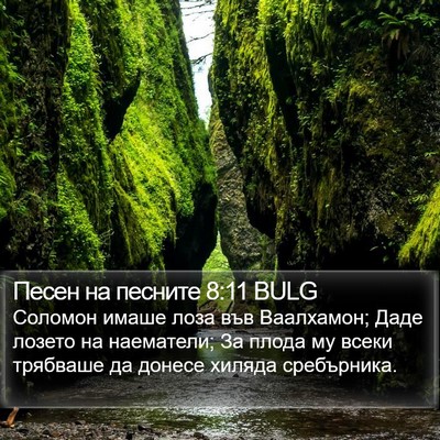 Песен на песните 8:11 BULG Bible Verse Image