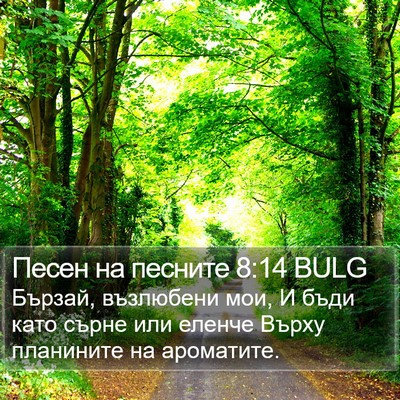 Песен на песните 8:14 BULG Bible Verse Image