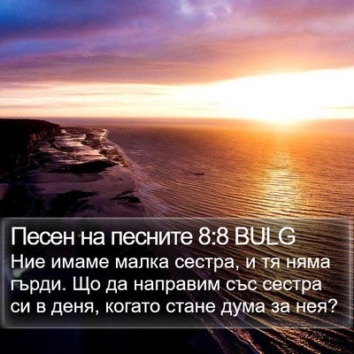 Песен на песните 8:8 BULG Bible Verse Image