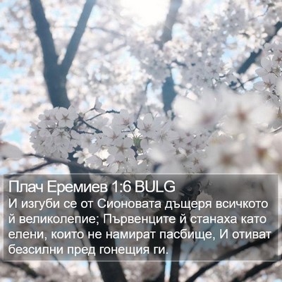 Плач Еремиев 1:6 BULG Bible Verse Image