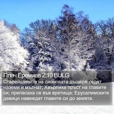 Плач Еремиев 2:10 BULG Bible Verse Image