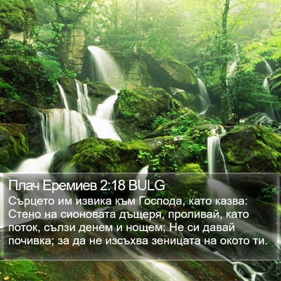 Плач Еремиев 2:18 BULG Bible Verse Image
