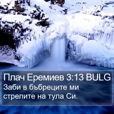 Плач Еремиев 3:13 BULG Bible Verse Image