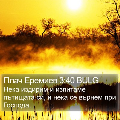 Плач Еремиев 3:40 BULG Bible Verse Image