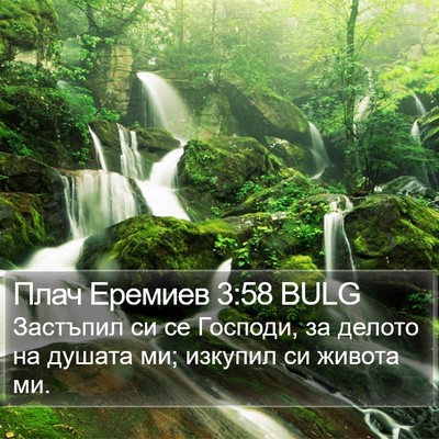Плач Еремиев 3:58 BULG Bible Verse Image
