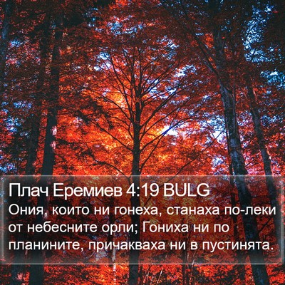 Плач Еремиев 4:19 BULG Bible Verse Image