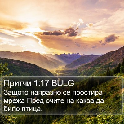 Притчи 1:17 BULG Bible Verse Image