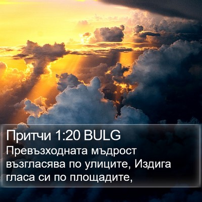 Притчи 1:20 BULG Bible Verse Image