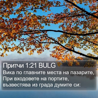 Притчи 1:21 BULG Bible Verse Image