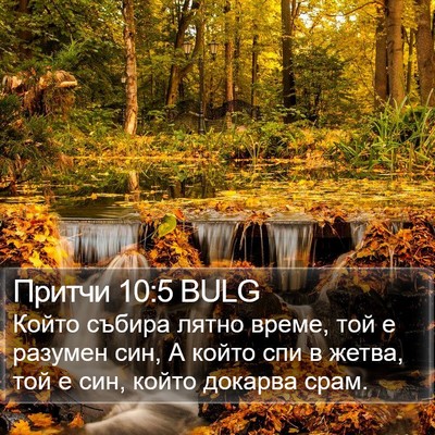 Притчи 10:5 BULG Bible Verse Image
