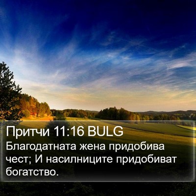 Притчи 11:16 BULG Bible Verse Image