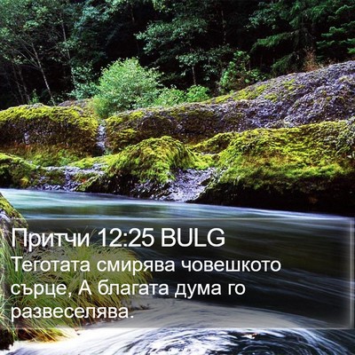 Притчи 12:25 BULG Bible Verse Image