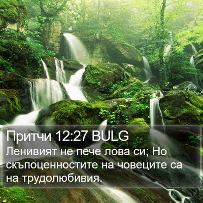 Притчи 12:27 BULG Bible Verse Image