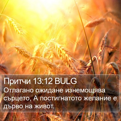 Притчи 13:12 BULG Bible Verse Image